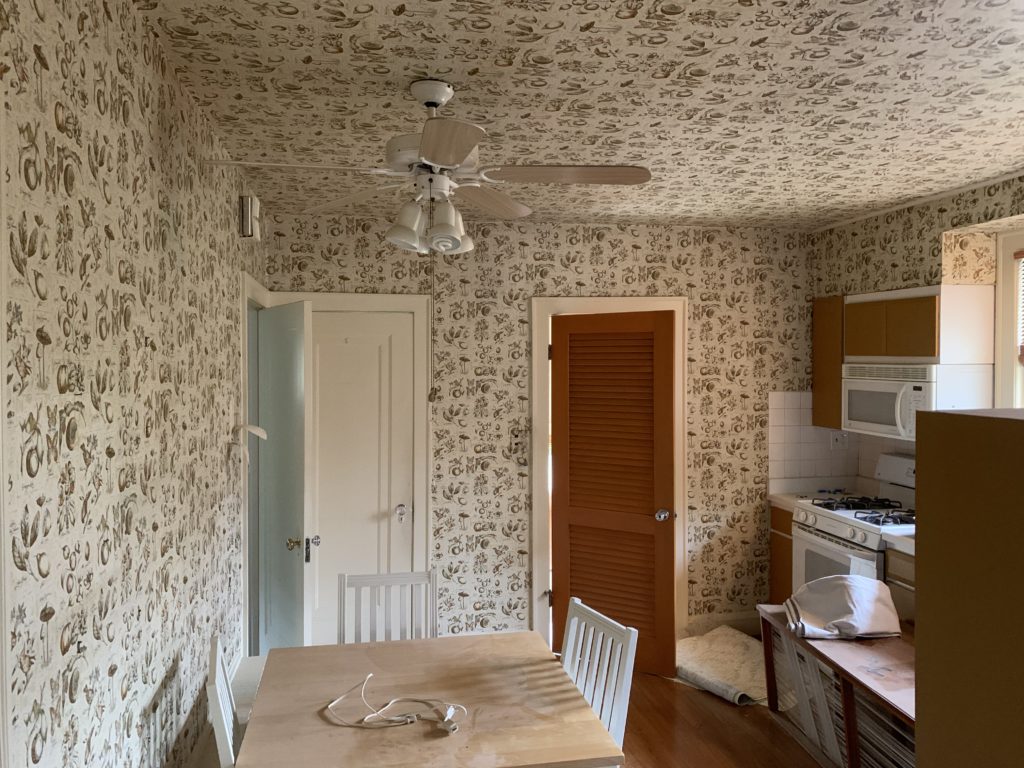 entire room of wallpaper - removing wallpaper